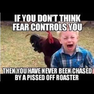 Meet your Posher, Caitlyn